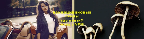 прущая мука Наволоки