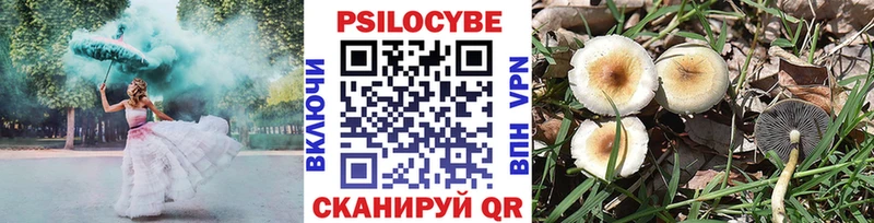 Галлюциногенные грибы прущие грибы  Сургут 