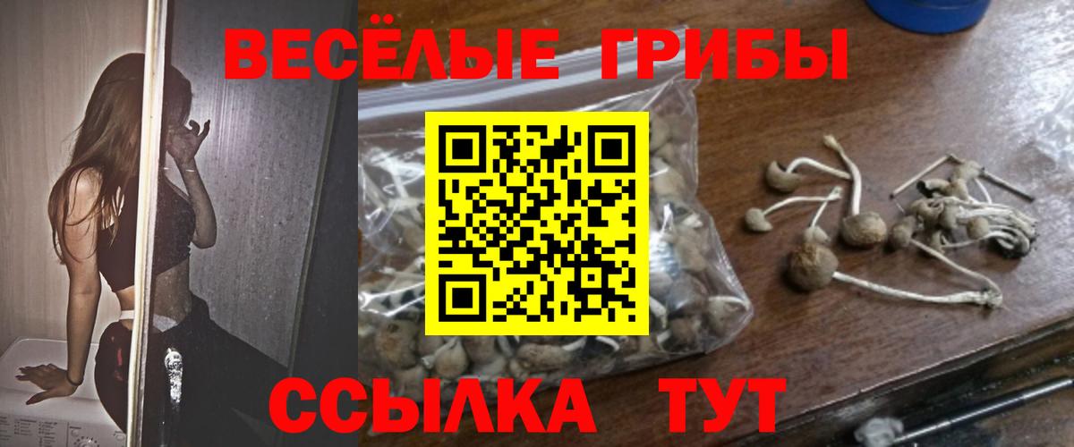Псилоцибиновые грибы мицелий Сургут
