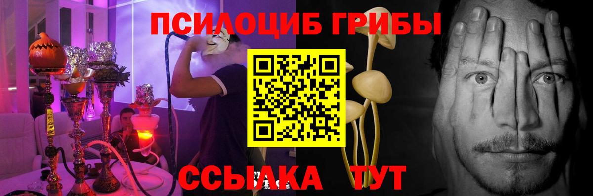 Псилоцибиновые грибы ЛСД  Вход с VPN  Псилоцибиновые грибы GOLDEN TEACHER  Сургут 