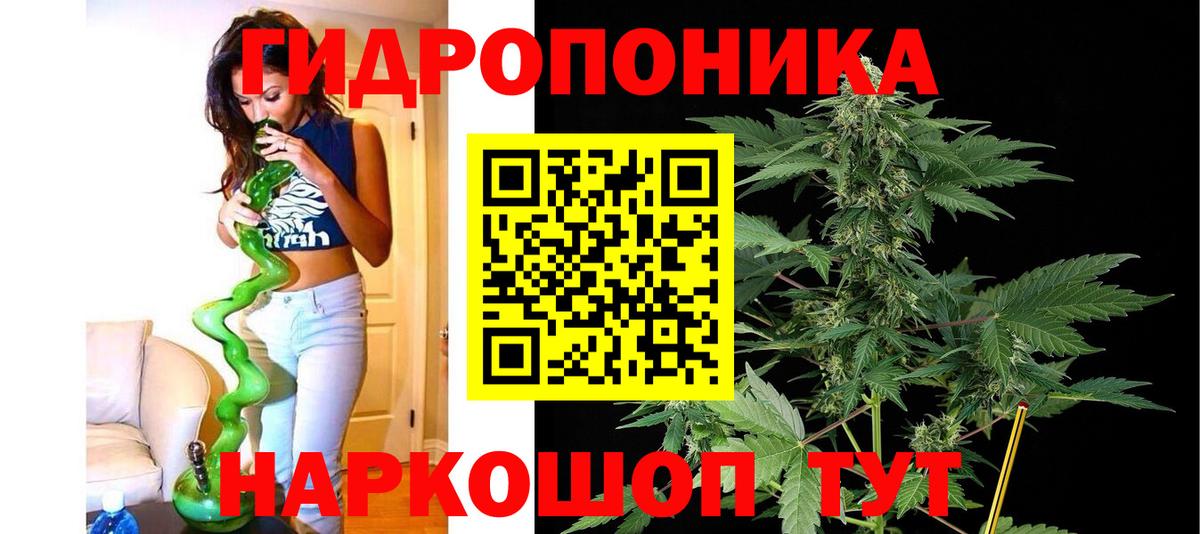Сургут  Бошки марихуана гибрид  Вход с VPN  Конопля Ganja 